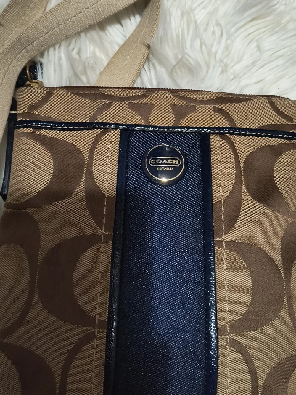 Coach Signature Canvas Crossbody Bag in Brown